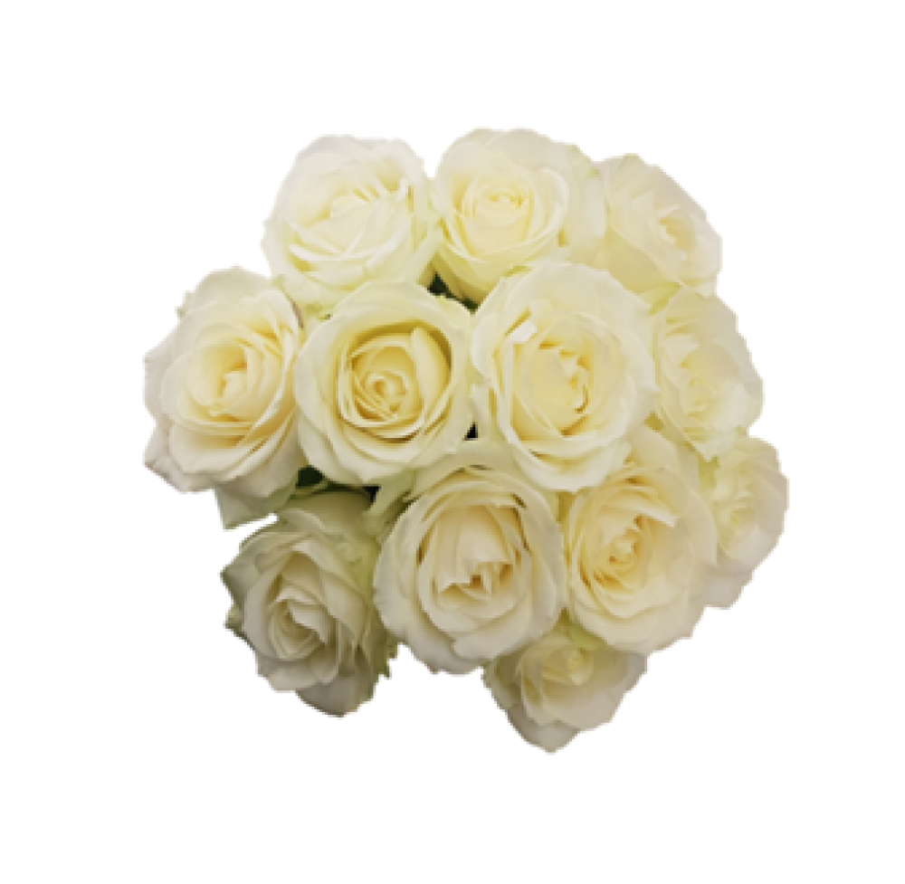 Compact Rose Bride Posy Product Image