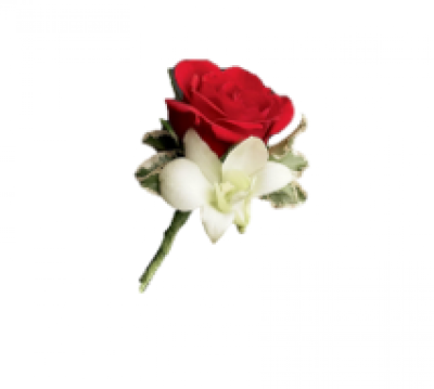 Rose & Orchid Buttonhole | Buttercups & Daisies Florist Birmingham - Rose & Orchid Buttonhole, handcrafted wedding flowers in Birmingham.