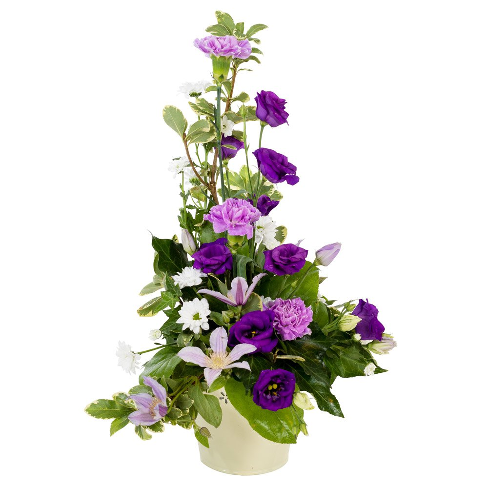 Classical Touch Product Image