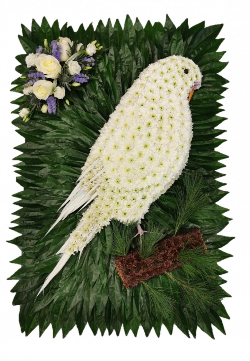 Budgie Funeral Tribute Product Image
