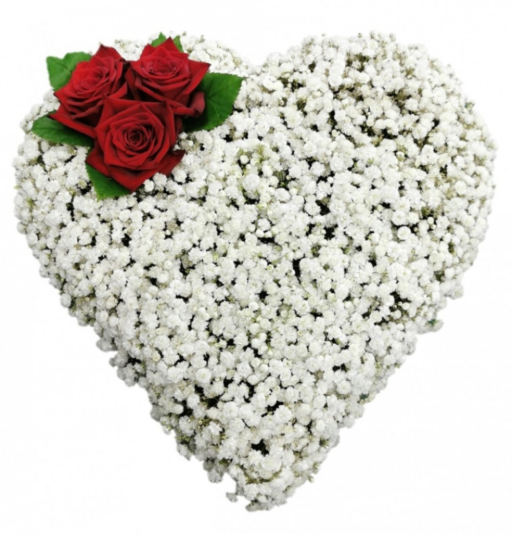Gypsophila Heart Product Image