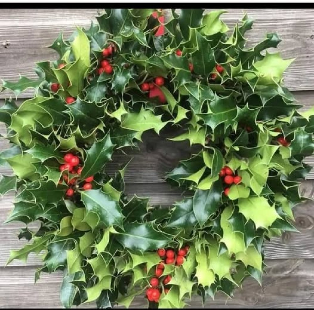 REAL HOLY WREATH Product Image