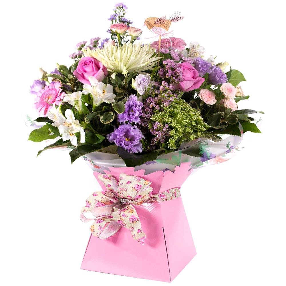 Sugar Rush Product Image